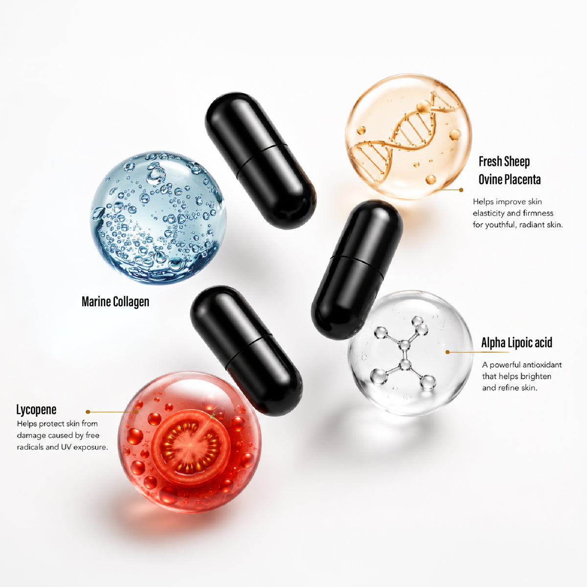 Placenta Plus